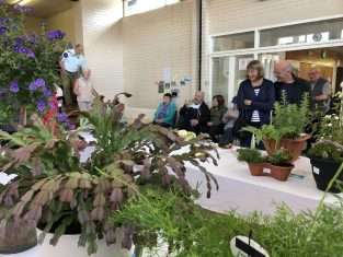 Show produce - flowers