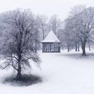 Snowscene at Brough Park by Jason Bould