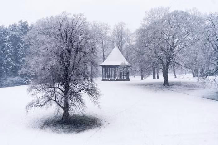 Snowscene at Brough Park by Jason Bould